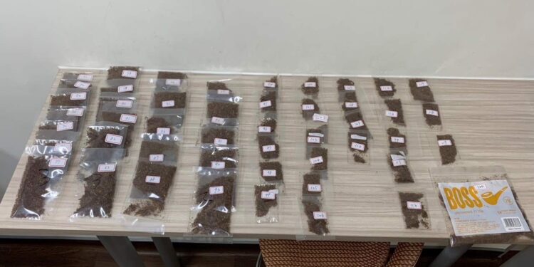 以為是天然舒壓草本藥 一吃差點腦壞掉 才知道是合成大麻 以為是天然舒壓草本藥 一吃差點腦壞掉 才知道是合成大麻