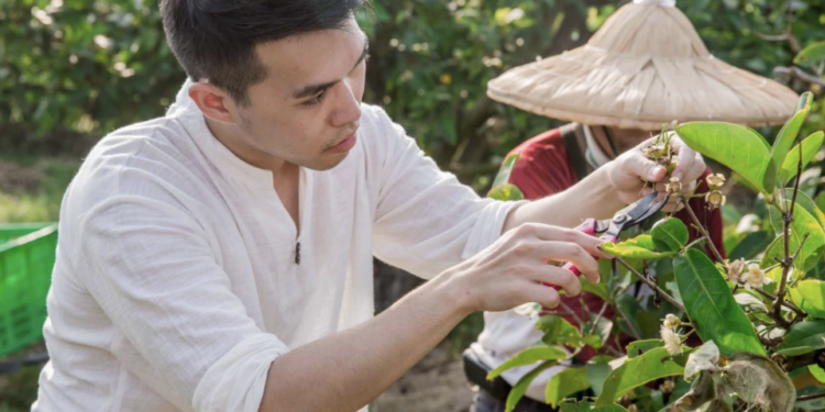台灣在地超級食物蓮霧好棒棒