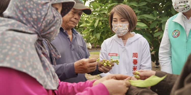 屏東寒害蓮霧落果 周春米上任即赴產區了解 屏東寒害蓮霧落果 周春米上任即赴產區了解