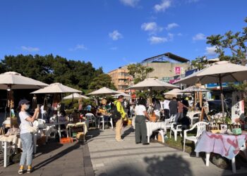 苗栗風箏節 加碼青創市集 文創、療癒、植栽、美食，等您來體驗