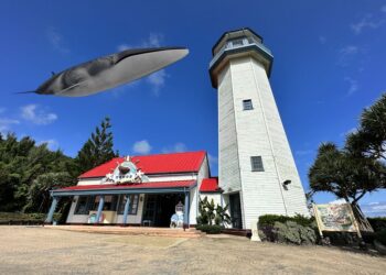 遠雄海洋公園20週年慶典 挑戰數位化轉型 全新視覺形象磅礴登場