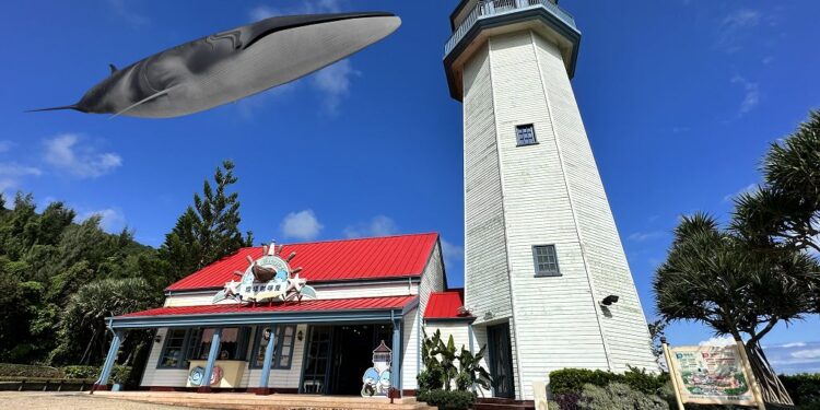 遠雄海洋公園20週年慶典 挑戰數位化轉型 全新視覺形象磅礴登場 遠雄海洋公園20週年慶典 挑戰數位化轉型 全新視覺形象磅礴登場