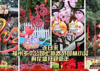 《前兔似錦 新征程》2023年兩岸百家電台新媒體春節空中大聯播