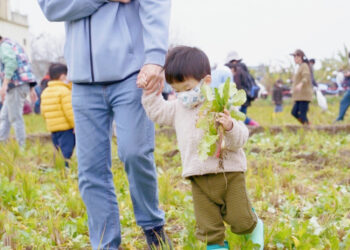竹市彩虹蘿蔔千人採收趣 市長高虹安：結合食農親子教育體驗 打造友善環境教育