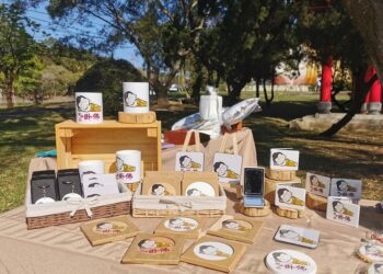 全台最大關西臥佛首度開放  百人吉祥臥起來 鄉親優惠遊園500佛心價