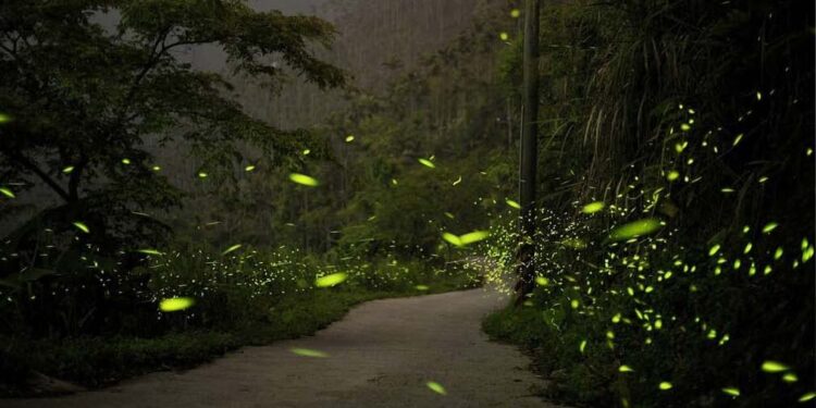 五一勞動節穿戲服逛老街 參觀拍片場景再到南寮賞螢去