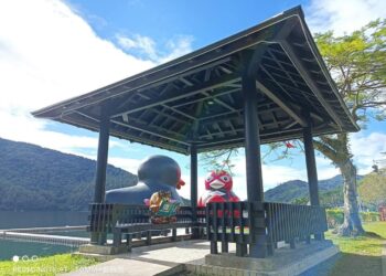 民衆投書：紅面鴨鴨會不會飛 ？！到底！？