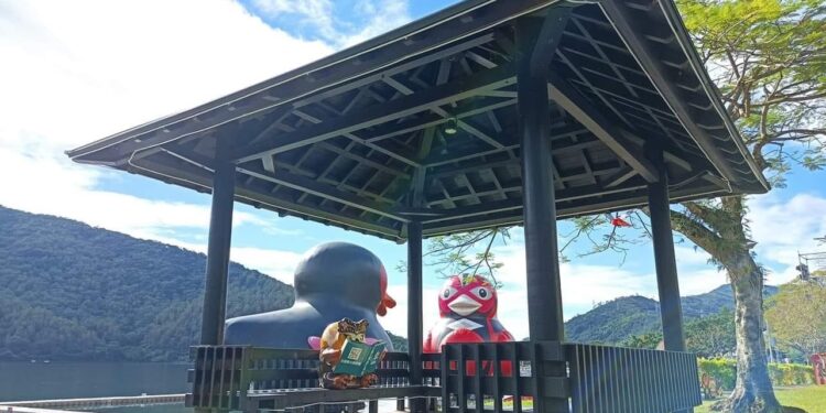 民衆投書：紅面鴨鴨會不會飛 ？！到底！？