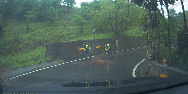 豪雨來襲路樹橫倒下 大甲警冒雨排除障礙