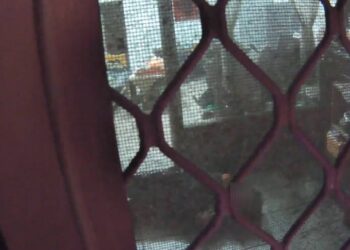 8旬老嫗家中跌倒無力起身 中警即刻救援