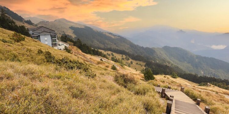 初夏合歡東峰杜鵑盛開 走訪平易近人的花蓮絕美步道