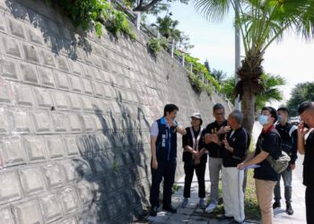 樹幹橫生破壞邊坡結構 議員組專案會勘