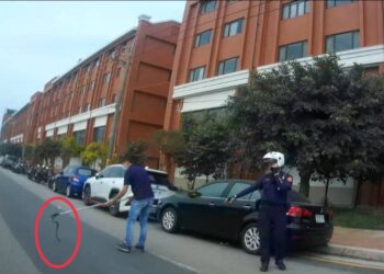 毒眼鏡蛇蜷曲工業區路中 中六警緊急排除不速之客