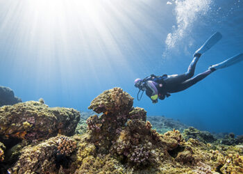 海管處6月份尊重海洋生態看見永續旅遊價值  系列講座即日起開放報名