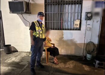 白蟻大軍入侵超崩潰 警伴獨居嬤度過蟲蟲危機