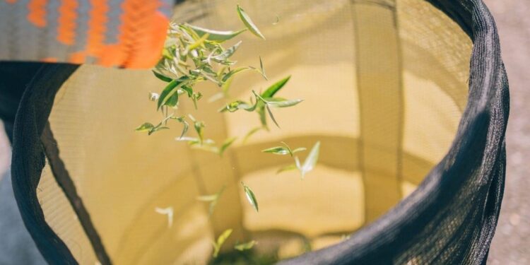 茶香、花香、咖啡香 到23.5度細細品味絕美星空及花蓮香 茶香、花香、咖啡香 到23.5度細細品味絕美星空及花蓮香