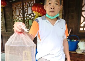 防治小黑蚊專家 蘇盈嘉找他準沒錯