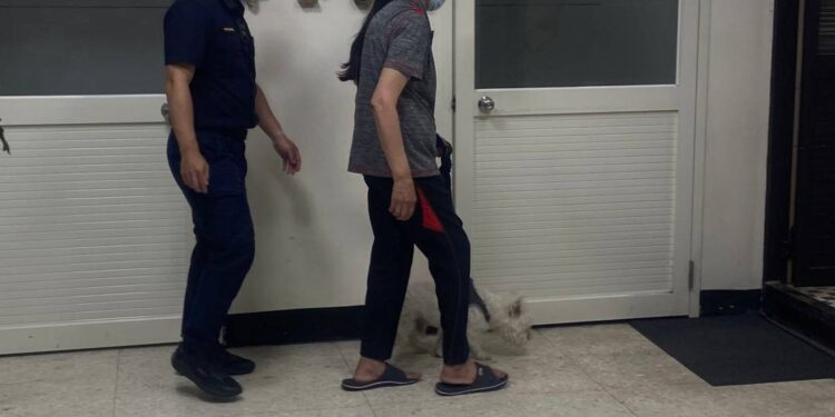 暖警載迷途婦返家 牠搭警車抓兔子 讓員警手忙腳亂 暖警載迷途婦返家 牠搭警車抓兔子 讓員警手忙腳亂