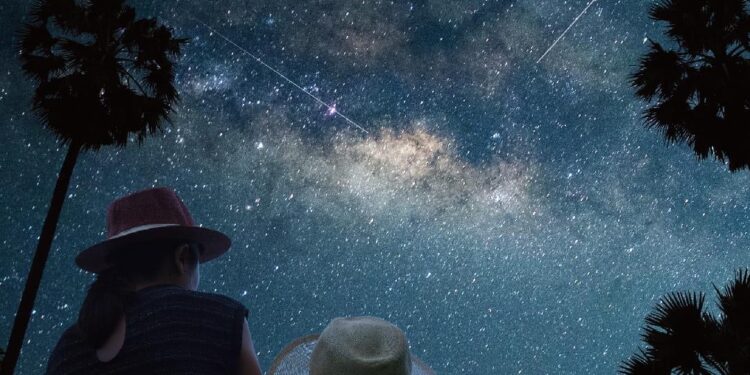 花蓮北中南區業者推出多項星空活動 住宿再抽特斯拉電動汽車