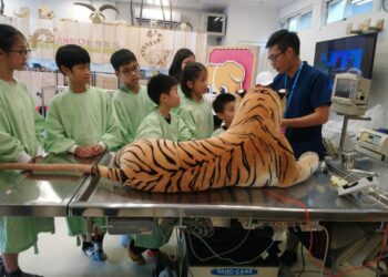 關西六福莊超夯限定 小小獸醫、親子動物保育員 暑期營隊來