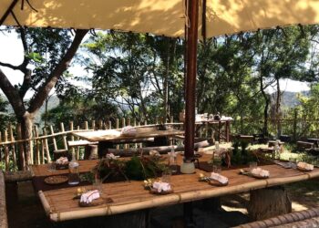 「23.5度品味星空」豐濱海岸品味咖啡、星空 7/18開放報名