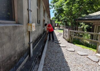 暑期藝文活動滿檔 中市文化場館加強登革熱防治