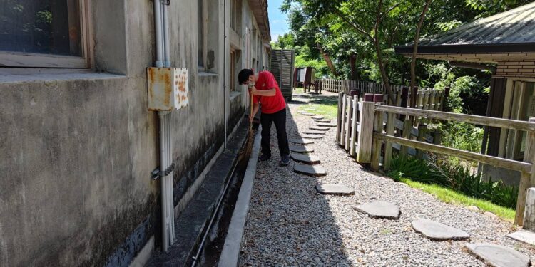 暑期藝文活動滿檔 中市文化場館加強登革熱防治