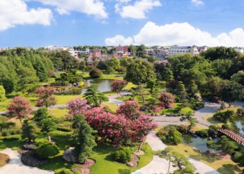 粉紅花海綻放  成美文化園紫薇花季盛開　前世情人父女同行免費