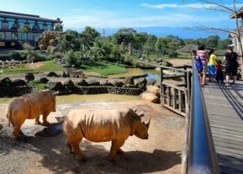關西六福莊攜手莊福文教基金會 邀請留日博士林良恭分享生物多樣性