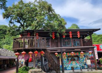 台灣萬里長城 龍眼開放免費開採樂