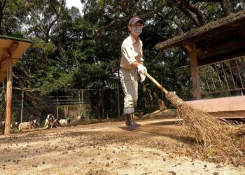暑假八月眾多優惠攻略大放送 與爸同行共遊六福村