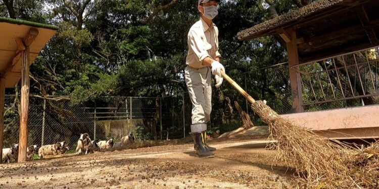 暑假八月眾多優惠攻略大放送 與爸同行共遊六福村