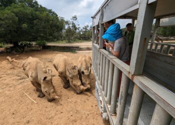 熱情舞者輪番炫技大秀南島風情 六福村歡慶原住民日!! 限時好康優惠暢玩只要9