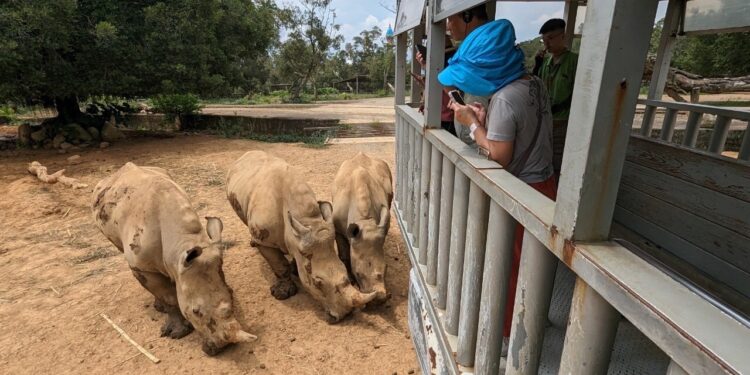 熱情舞者輪番炫技大秀南島風情 六福村歡慶原住民日!! 限時好康優惠暢玩只要9 熱情舞者輪番炫技大秀南島風情 六福村歡慶原住民日!! 限時好康優惠暢玩只要9