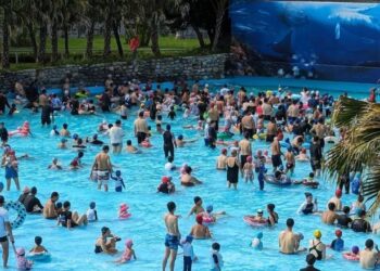 知卡宣綠森林親水公園暑期活動圓滿落幕