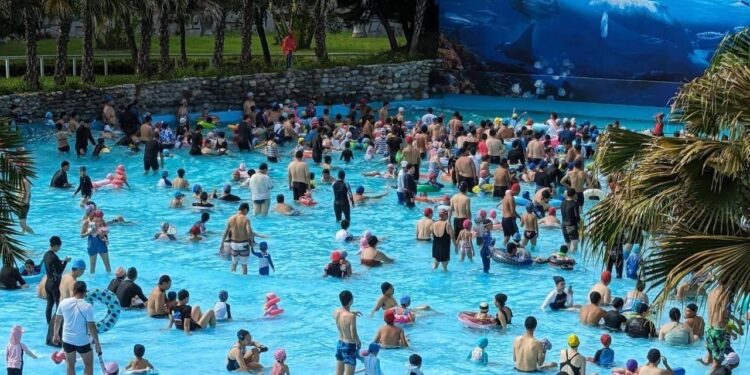 知卡宣綠森林親水公園暑期活動圓滿落幕