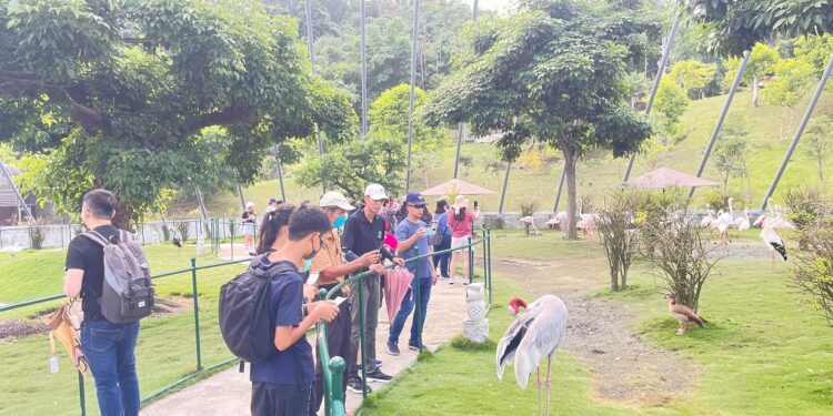 縣府與台中、苗栗合作 邀請星馬旅行社前進中台灣踩線 縣府與台中、苗栗合作 邀請星馬旅行社前進中台灣踩線