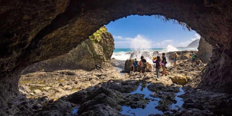 花蓮絕美步道和小百岳吸引超過萬筆登錄 欣賞碧海藍天還可拿好禮