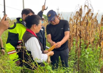 花蓮縣政府全面勘查爭取農業部第2次公告杜蘇芮颱風現金救助 受理期限8/4至8/14止