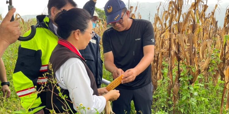 花蓮縣政府全面勘查爭取農業部第2次公告杜蘇芮颱風現金救助 受理期限8/4至8/14止 花蓮縣政府全面勘查爭取農業部第2次公告杜蘇芮颱風現金救助 受理期限8/4至8/14止