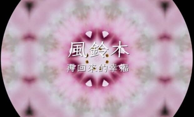 花蓮限定！＜花TIME＞四季花卉來報時 花蓮太平洋公園百花齊放 千嬌百媚盡收眼底