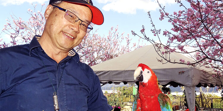 彷彿出國置身京都 攝影愛好者 網紅前往朝聖參觀 彷彿出國置身京都 攝影愛好者 網紅前往朝聖參觀