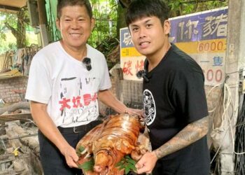 招牌景點紫藤花隧道  遊客拍照打卡熱門點