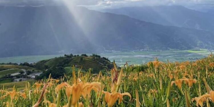 海葵颱風重創花蓮 立委傅崐萁、縣長徐棒蔚爭取農損救助 農業部今日公告花蓮縣玉里鎮及富里鄉為112年海葵颱風農業天然災害現金救助地區 海葵颱風重創花蓮 立委傅崐萁、縣長徐棒蔚爭取農損救助 農業部今日公告花蓮縣玉里鎮及富里鄉為112年海葵颱風農業天然災害現金救助地區