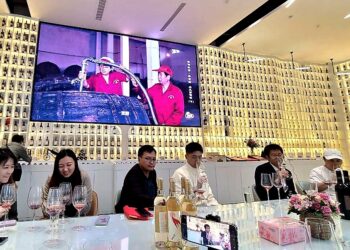 兩岸媒體探訪美麗陝西 品味商洛丹鳳多元葡萄產業