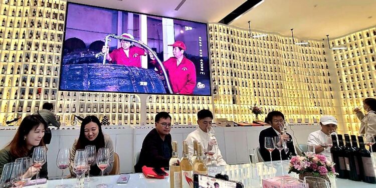 兩岸媒體探訪美麗陝西 品味商洛丹鳳多元葡萄產業