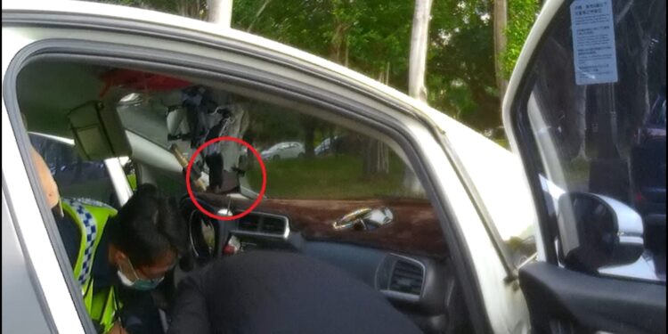 大家來找碴真實上演 警抬頭一望謎底驚喜現身