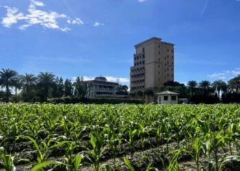 張逸華：民進黨綠營人士不斷的透過抺黑生事 最終必將換得人民用選票來唾棄
