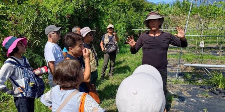 濤聲激蕩創新夢》花蓮青年創業航向藍海 地方發展與海洋產業實現雙贏