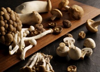 灃食發行蔬食季刊   倡議好好吃飯八分飽理念